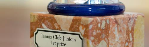 Trophée personnalisé avec une plaque fabriquée avec la matière à graver Gravolase™ Metallics.