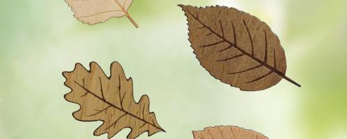 Jeu de feuilles décoratives en bois réalisées par Découpe laser